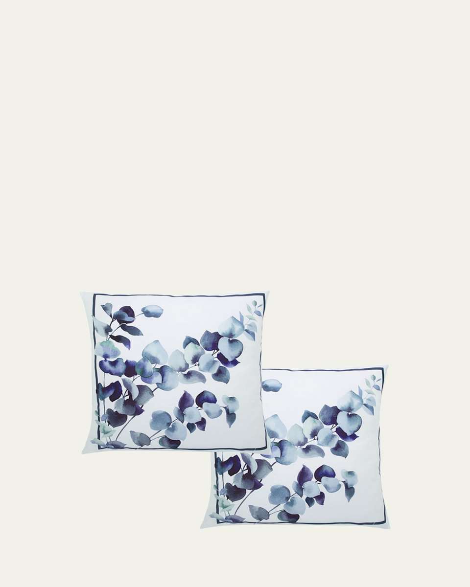 Eucalyptus 500-Thread Count Square Shams, Set of 2